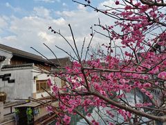 -东钱湖旅游度假区