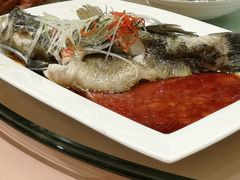 -王宝和酒家(黄浦店)