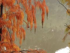 -三水森林公园