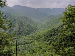 -五女峰国家森林公园