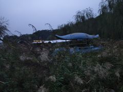 -青龙湖公园