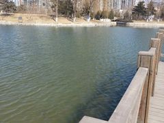-望湖公园