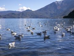 -丽江泸沽湖景区