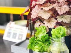 -About Bistro關於·泰式家庭料理