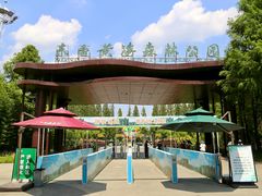 门面-黄海国家森林公园