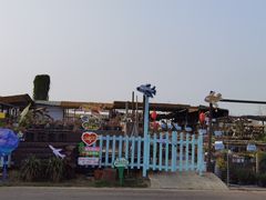 -空港花田景区