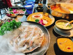 -新草堂锅物料理(泉城路店)