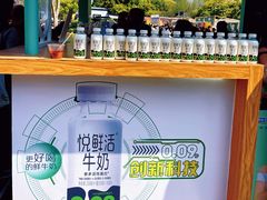 -陆家嘴中心绿地