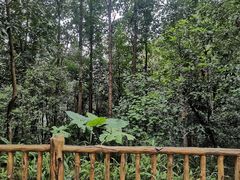 -三门江国家森林公园