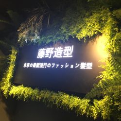 点击看大图 -藤野造型