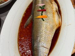 -醉庐·新上海菜(南京西路店)