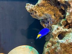 -海合安武汉极地海洋公园