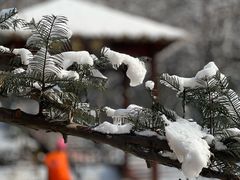 -陕西省红河谷森林公园