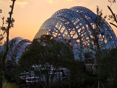 -上海植物园-4号门售票处