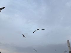 -星海广场