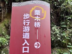 -大围山国家森林公园