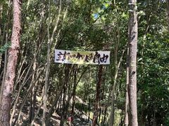 -鄣山大峡谷