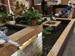 -宏宴·新京菜(望京店)