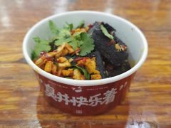 -黑色经典臭豆腐·湖南特产(坡子街店)