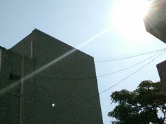 -华莱士·全鸡汉堡(沙井车站店)