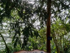 -南山植物园