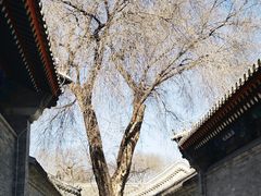 -恭王府博物馆
