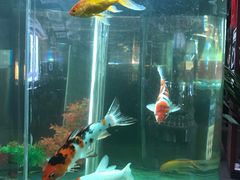 -08涮肉坊(广顺南大街店)