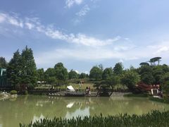 -铁山坪森林公园