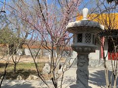 -大乘寺