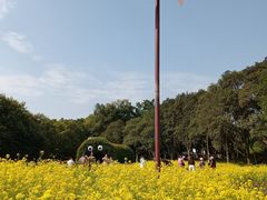 -雀儿山公园