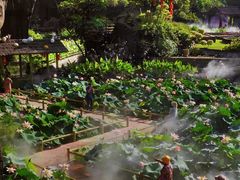 -广州莲花山旅游区