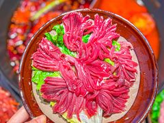 -冯校长老火锅(广州正佳广场店)