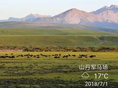-山丹皇家马场