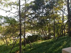 -飞凤山奥体公园
