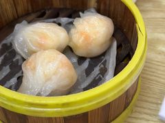 -杨记杏仁茶(椰园店)
