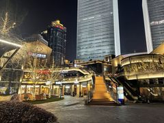 -Efes Turkish & Mediterranean Cuisine 艾菲斯餐厅(陆家嘴店)