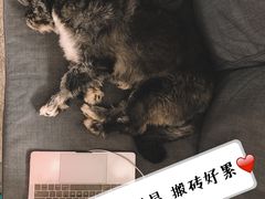 -味福记·本地特色菜(八一万达广场店)