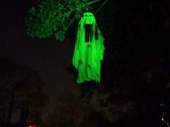 -凤凰山海港乐园