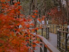 -月湖风景区