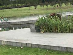 -两河城市森林公园