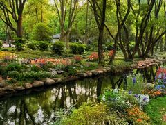 -上海共青森林公园