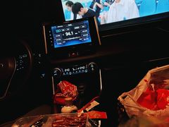 -枫花园汽车电影院(朝阳公园店)