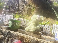 -鱼乐岛餐厅·户外花园主题餐厅