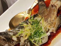 -徐记海鲜(南油永新汇店)