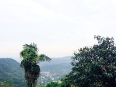 -凤栖山