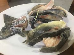 缩骨鱼头生上-啊杞恒益饭店(南头总店)