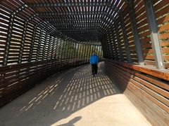 -昆山城市生态森林公园