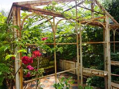 -The Grounds of Alexandria
