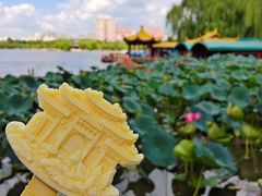 -济南大明湖景区