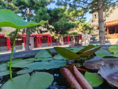 -慈恩寺